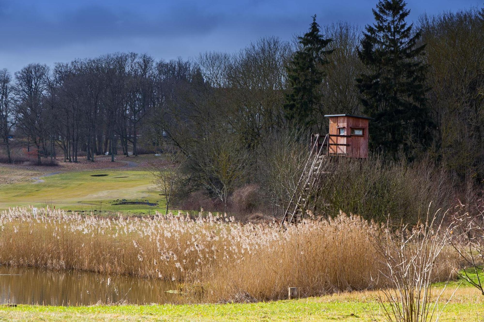 Tiny House Fleesensee Mit Eigenem Garten Und Nur Wenige Meter Vom Seeufer 高恩莱宾 外观 照片